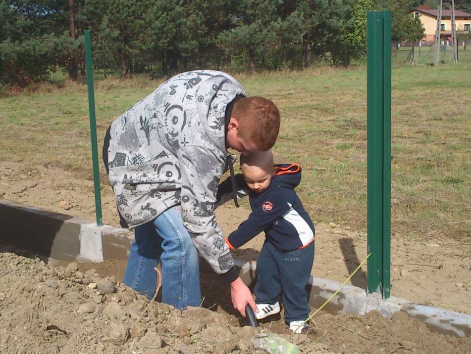 blog budowlany - mojabudowa.pl